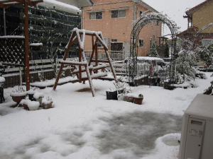 snow